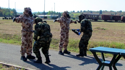 Training of Members...